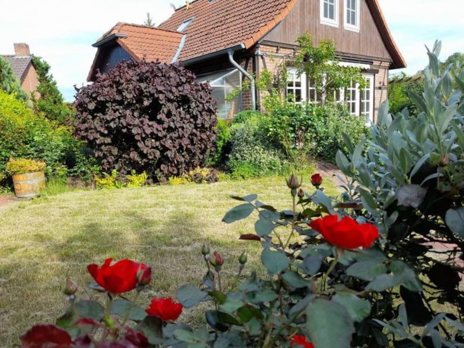Ferienhaus Gartower See エクステリア 写真